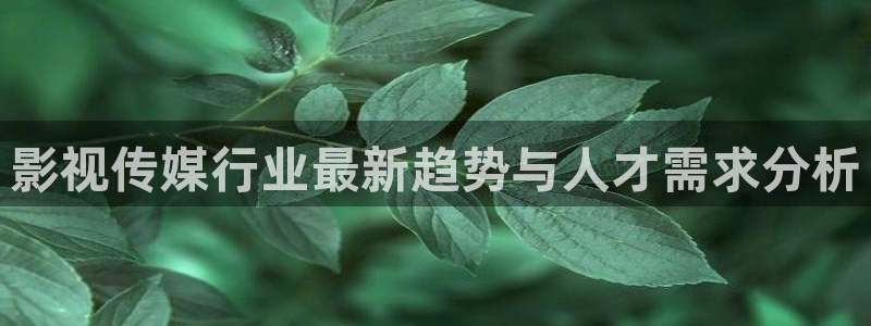 yy4480韩国