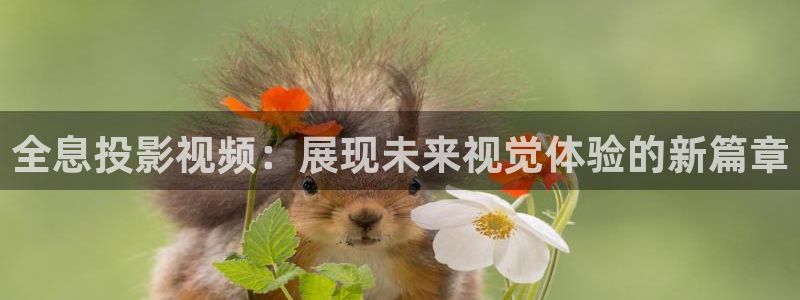 yy4480新视觉影院伦理