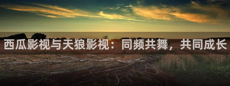 yy4480影院伦理