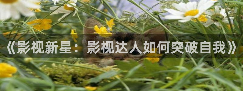 yy4480妈妈的朋友