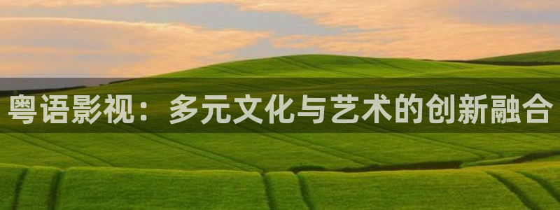 yy4480新视觉