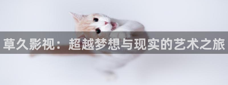 韩国yy4480