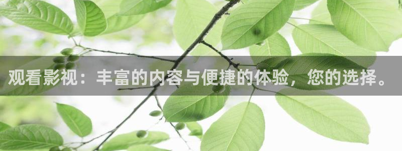 yy4480首播影院手机电影