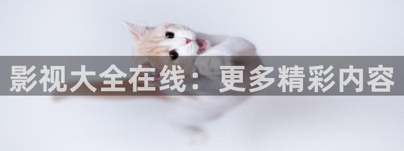 yy4480高清影视